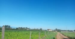 Prime Land For Sale adjacent to Nanyuki Airstrip