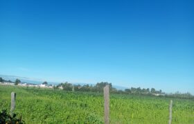 Prime Land For Sale adjacent to Nanyuki Airstrip