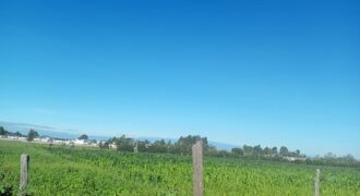 Prime Land For Sale adjacent to Nanyuki Airstrip