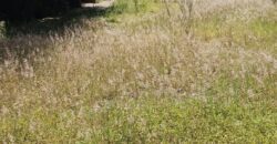 Prime Commercial Residential Land for Sale Valley Road