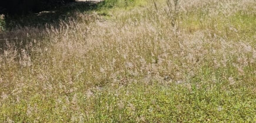 Prime Commercial Residential Land for Sale Valley Road