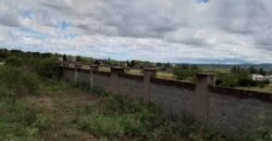 Prime 20.1 Acres Commercial Residential Land for Sale Athi River