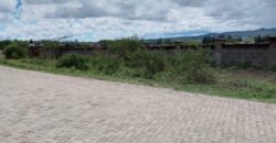 Prime 20.1 Acres Commercial Residential Land for Sale Athi River
